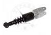 Amortiguador Shock Absorber:960 310 6955