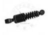 Amortiguador Shock Absorber:960 310 07 55