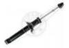 Amortiguador Shock Absorber:341186