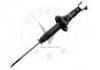 Amortiguador Shock Absorber:341173