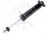 Amortiguador Shock Absorber:251413031