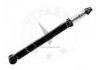 Shock Absorber:E6210-1HD2A