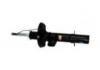 Amortiguador Shock Absorber:3437009