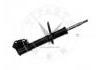 减振器 Shock Absorber:7700828680