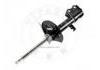 减振器 Shock Absorber:339114
