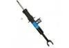 Amortiguador Shock Absorber:31 316 789 363