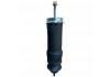 Amortiguador Shock Absorber:1424224